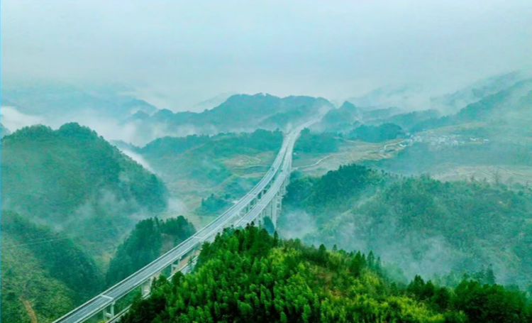 20251229985642.png 3f30bf76-781a-48c7-862d-18175f0a6f4f.png